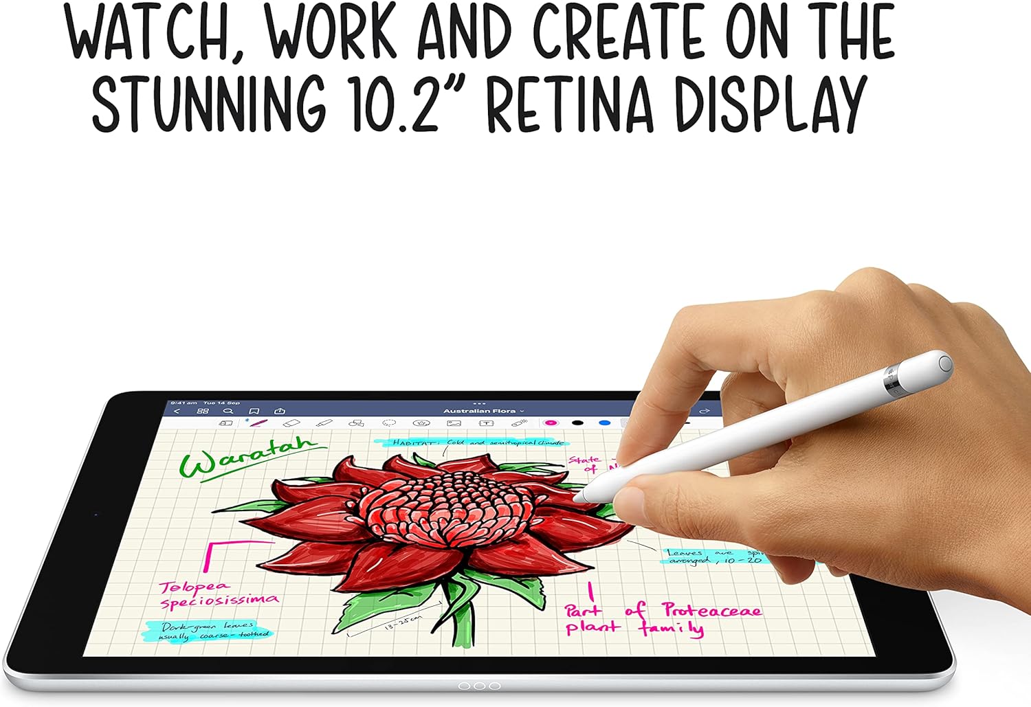 Apple iPad 9th Gen Wi-Fi being used with Apple Pencil and Smart Keyboard for productivity