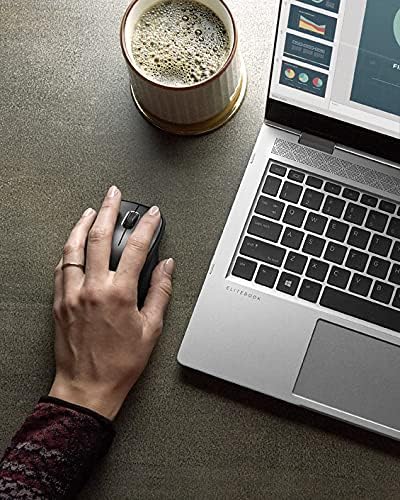 HP Wireless Premium Mouse (1JR31AA)