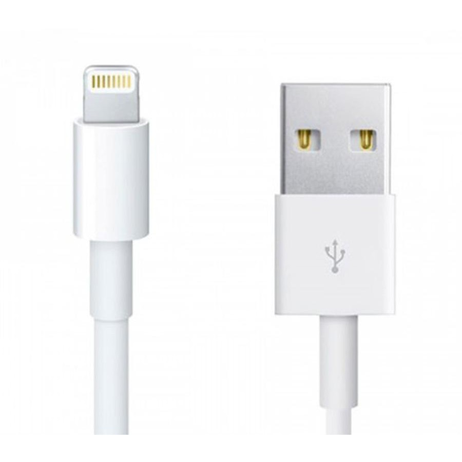 1M USB-A to Lightning Charging & Data Cable
