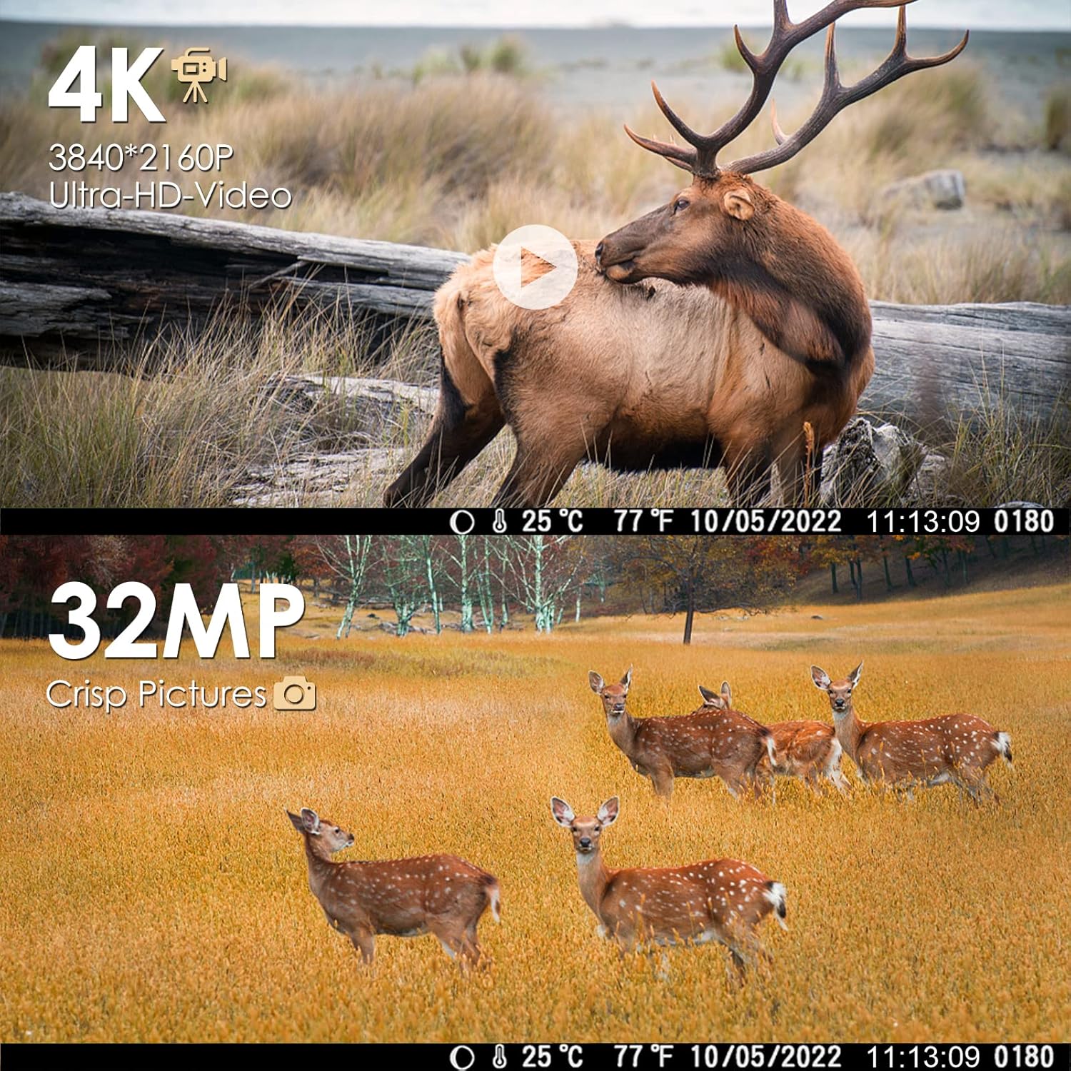 4K 32MP Wildlife Camera, Trail Camera with 0.2s Trigger Time 120°Motion Sensor, Night Vision Motion Activated IP66 Hunting Camera with 940nm No Glow IR LEDs 32GB SD Card for Wildlife Monitoring, New open Box