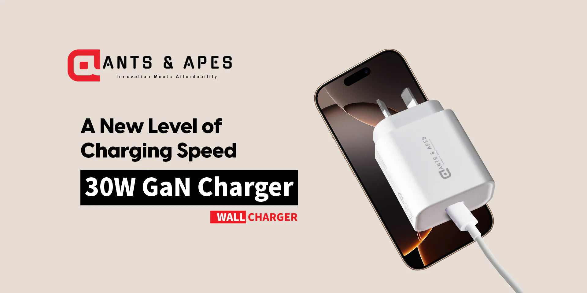 Ants & Apes 30w Pd C Gan Universal Fast Charger Ipad 10 11 12.9 13 Pro Smartphone Ear Buds Speakers iphone 12 13 14 15 16 Pro Max Plus Galaxy s22 23 24 25 Plus Fe Ultra